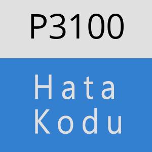 P3100 hatasi