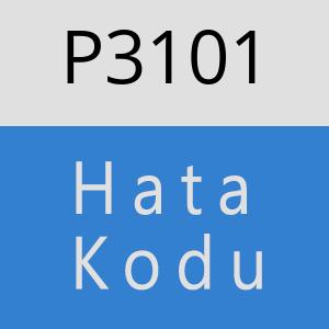 P3101 hatasi