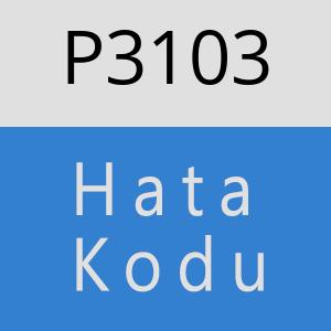 P3103 hatasi