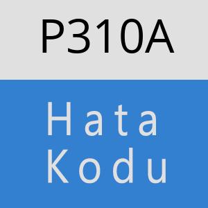 P310A hatasi