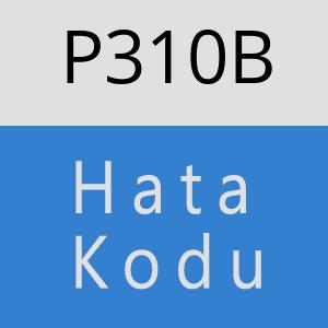 P310B hatasi