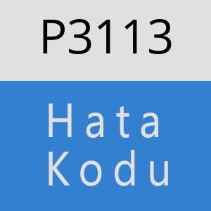 P3113 hatasi