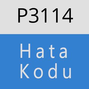 P3114 hatasi