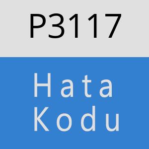 P3117 hatasi