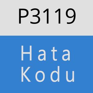 P3119 hatasi