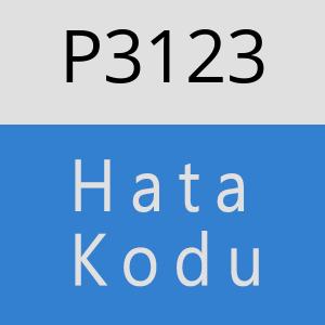 P3123 hatasi