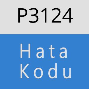 P3124 hatasi