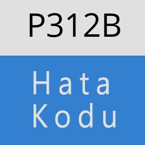 P312B hatasi