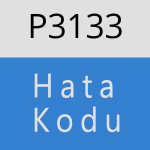 P3133 hatasi