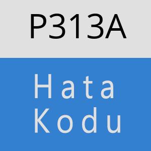 P313A hatasi