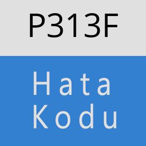 P313F hatasi