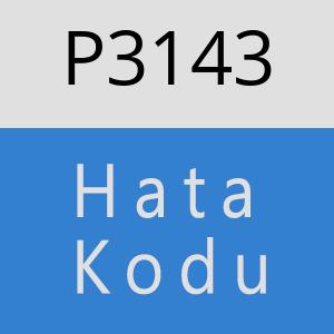 P3143 hatasi