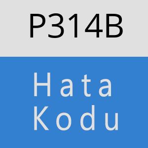 P314B hatasi