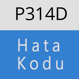 P314D hatasi