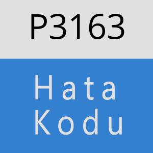 P3163 hatasi