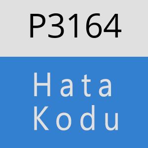 P3164 hatasi