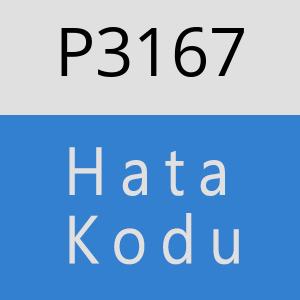 P3167 hatasi