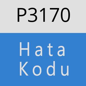 P3170 hatasi