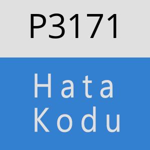 P3171 hatasi