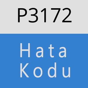 P3172 hatasi