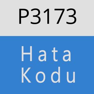 P3173 hatasi