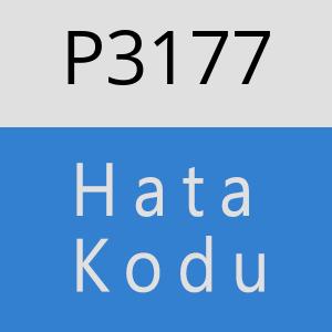 P3177 hatasi