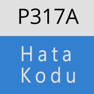 P317A hatasi