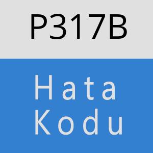 P317B hatasi