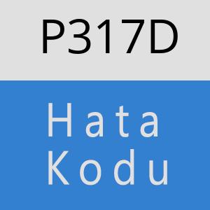 P317D hatasi