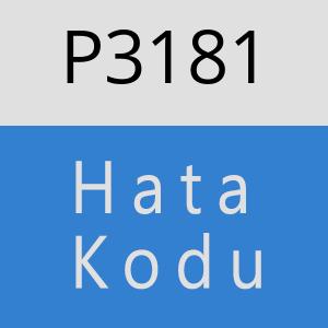 P3181 hatasi