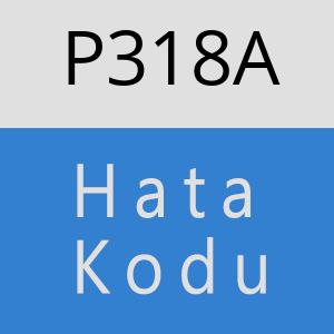 P318A hatasi