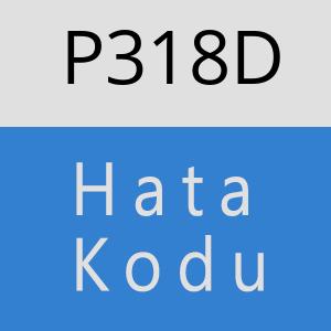 P318D hatasi