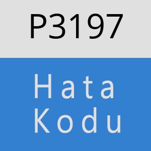 P3197 hatasi