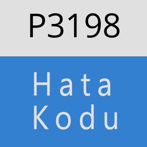 P3198 hatasi