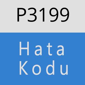 P3199 hatasi