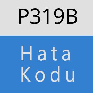 P319B hatasi