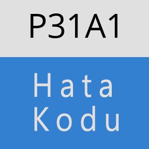 P31A1 hatasi