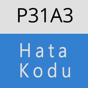 P31A3 hatasi