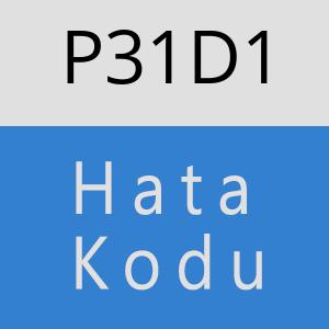 P31D1 hatasi