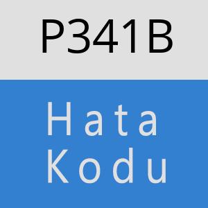 P341B hatasi