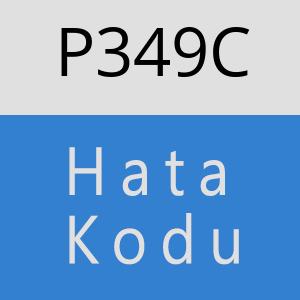 P349C hatasi