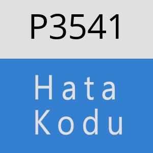 P3541 hatasi