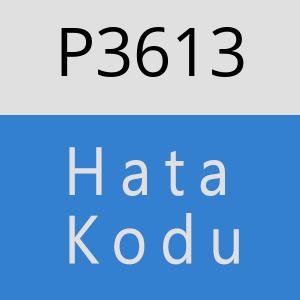 P3613 hatasi