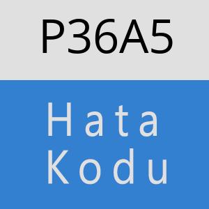 P36A5 hatasi