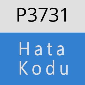 P3731 hatasi