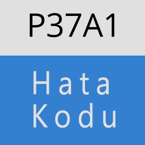 P37A1 hatasi