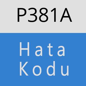 P381A hatasi