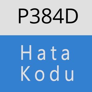 P384D hatasi