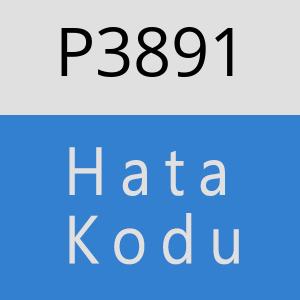 P3891 hatasi