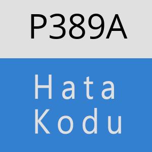 P389A hatasi